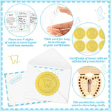 Qimgic Mini Tooth Receipt Gifts - 20 Set Tooth Cards with Envelope and Fairy Box Letter Kit for Kids, Lost Teeth Certificate Keepsake Postmark Gift Bag with Seal Sticker for Girl Boy Home Award (Blue)