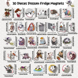 Qimgic Possum Fridge Magnets Decorations - 30pcs Opossum Door Car Magnetic Refrigerator Decor for Home Kitchen, Funny Animal Possum Magnetic Sticker for Kids Adult Gift Mailbox Locker Bumper